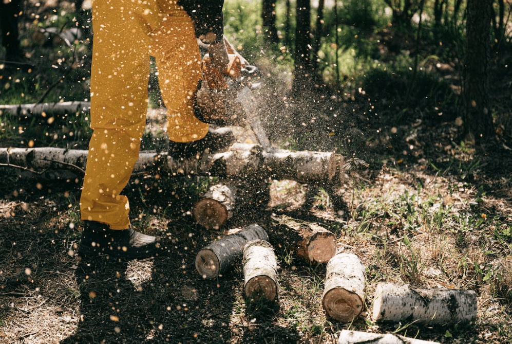 Miter Saw The Precision Cutter Miter Saw The Precision Cutter